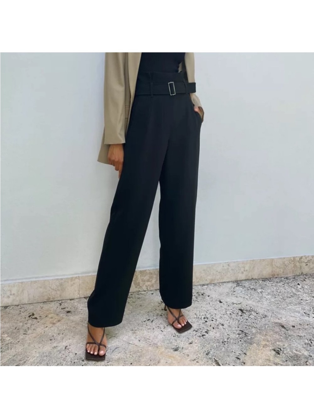 Aritzia Babaton Power Wide Leg Pant